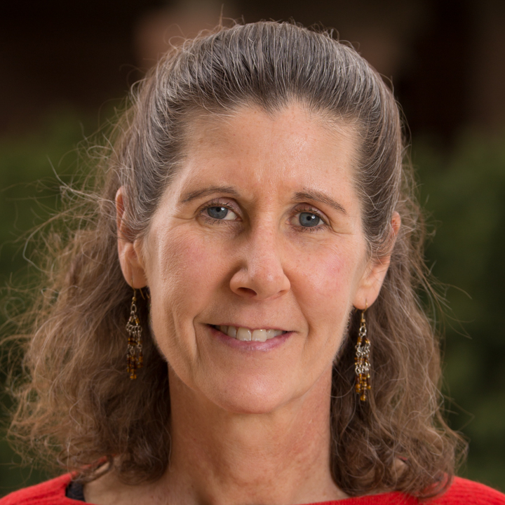 Mary Beth Vogel-Fergson, PhD, CSW